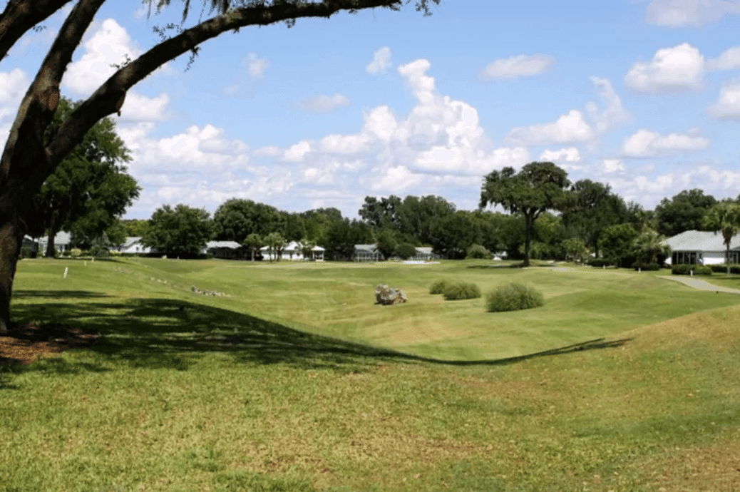Ocala Palms - Gallery image
