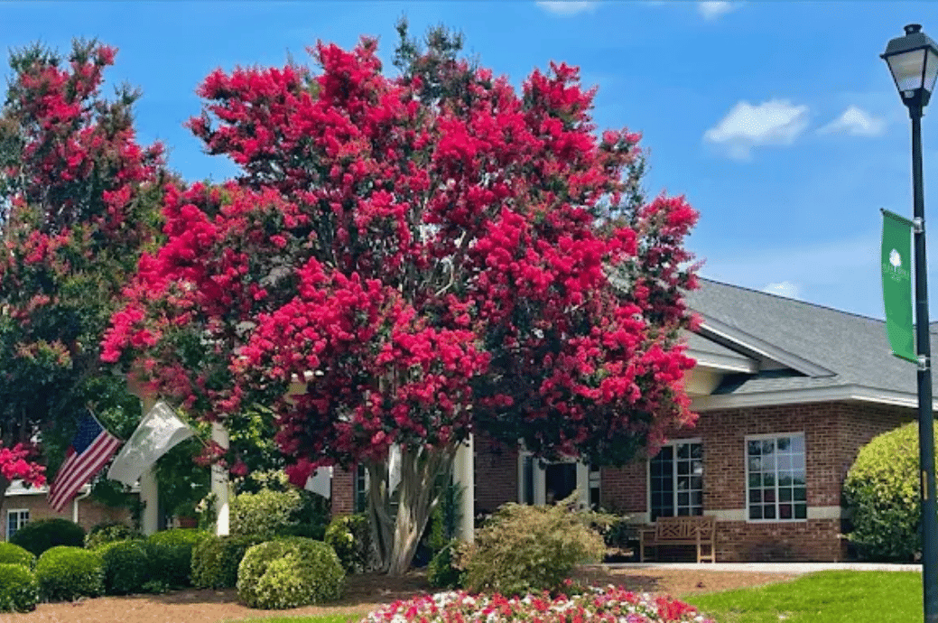 Oak Hill Assisted Living - Business image