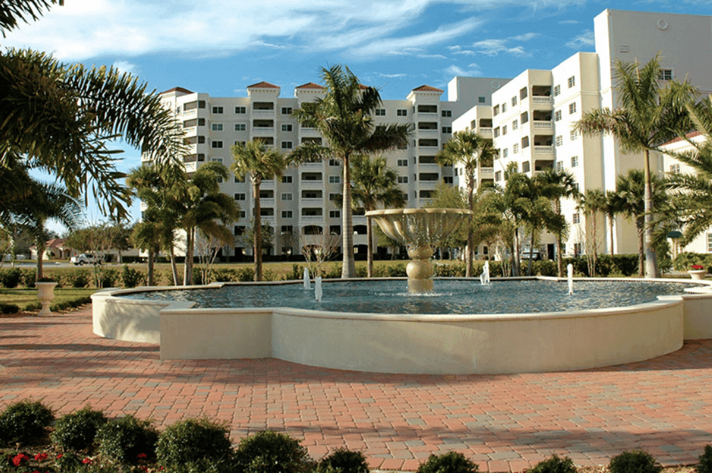Convivial Jacaranda Trace - Business image