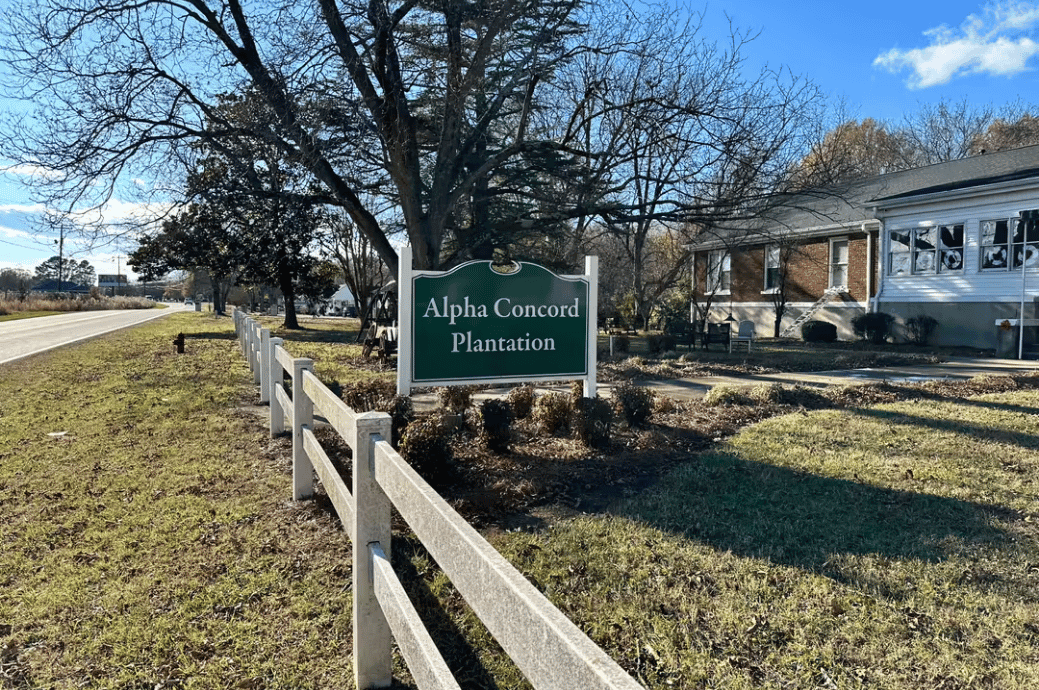Alpha Concord Plantation - Gallery image