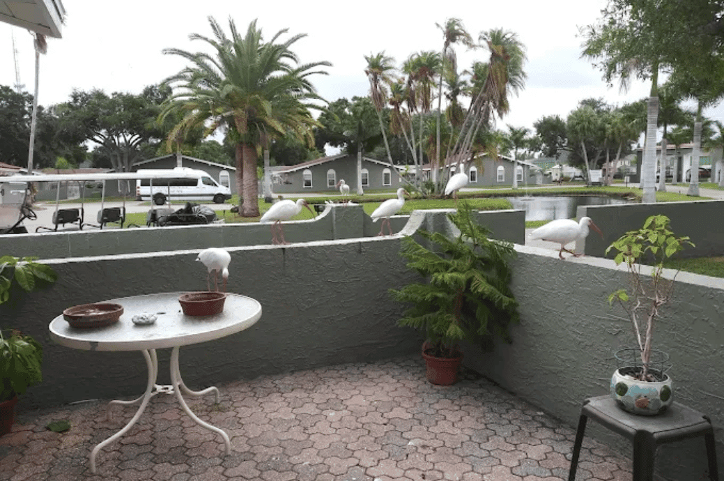 The Villas of Casa Celeste - Gallery image